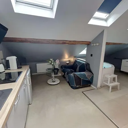 Nid Bien-etre Sous Les Toits - Jacuzzi, Sauna Et Ambiance Cocooning * Reims