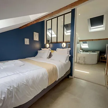 Nid Bien-etre Sous Les Toits - Jacuzzi, Sauna Et Ambiance Cocooning Apartment Reims