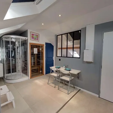 Nid Bien-etre Sous Les Toits - Jacuzzi, Sauna Et Ambiance Cocooning Apartment