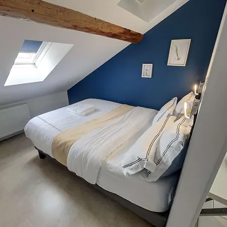 Nid Bien-etre Sous Les Toits - Jacuzzi, Sauna Et Ambiance Cocooning Апартаменты Реймс
