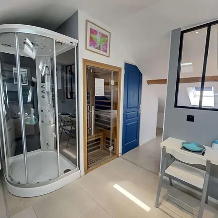 Apartment Nid Bien-etre Sous Les Toits - Jacuzzi, Sauna Et Ambiance Cocooning *